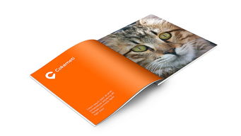 酷客美地企業(yè)形象設(shè)計(jì) 塑造品牌靈魂，引領(lǐng)市場潮流